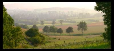 Bocage et brume