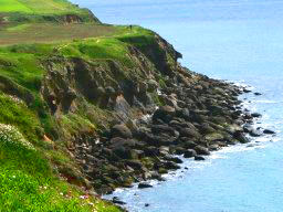 Détails sur les rochers au cap  gris nez