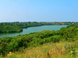 Marais de l'entre deux caps