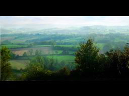 Photo de bocage en automne