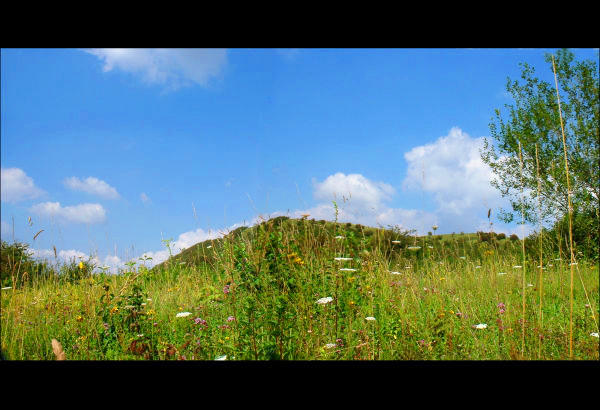 Pelouse calcaire sur le Mont pelé à Desvres